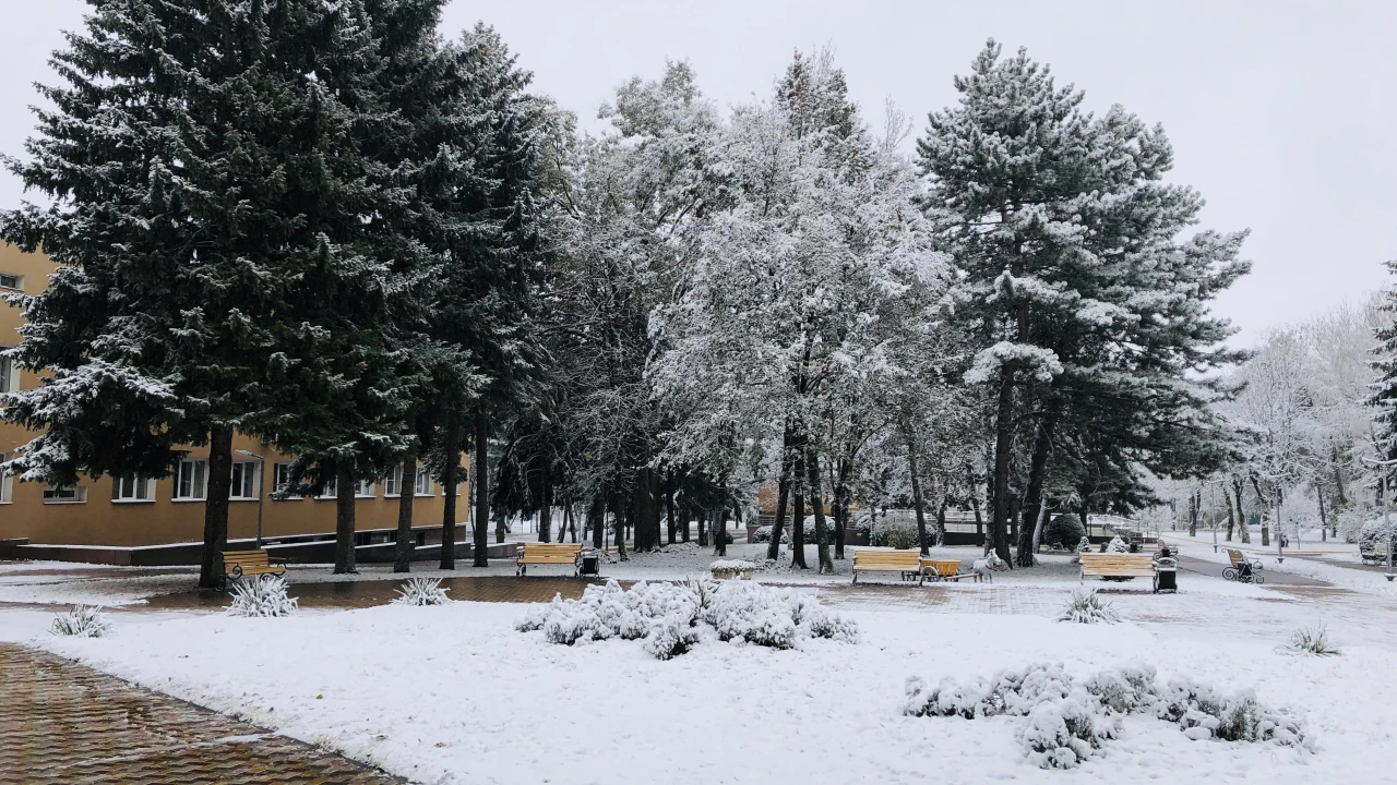 Қыс – шипажай үшін тамаша уақыт. Міне, неліктен! 