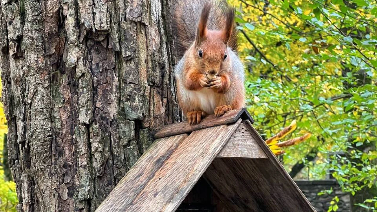 Күзде КМВ-да қайда серуендеуге болады? 