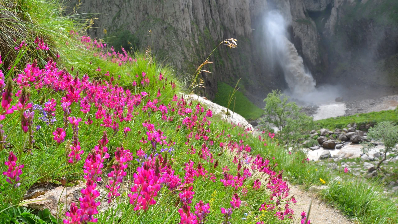 Шипажай туризмі: денсаулық үшін пайдалы саяхат 